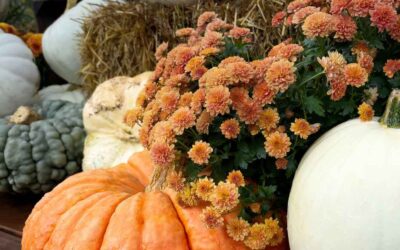 Fall Wedding Decor Ideas