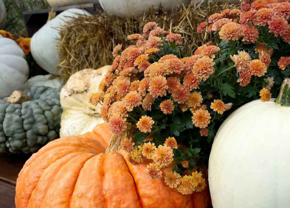 Fall Wedding Decor Ideas